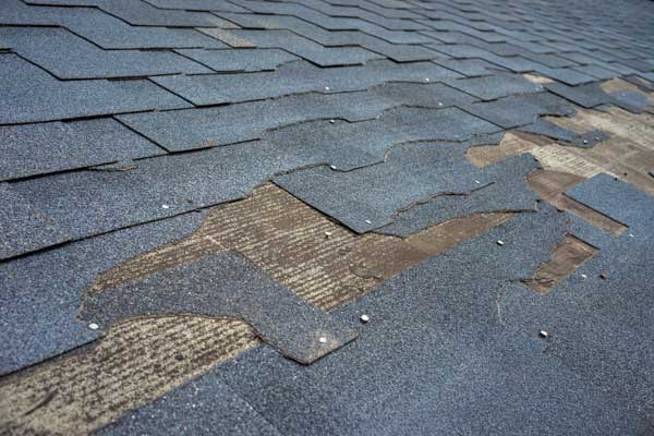 Roof Repair Services