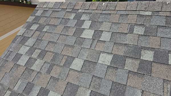 Roofing Services